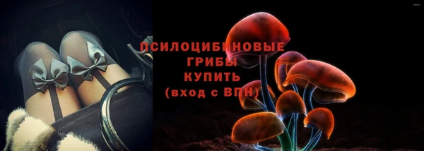 spice Россошь
