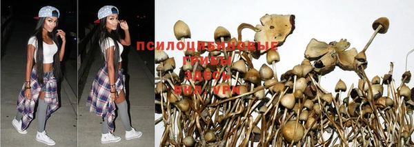 соль курить ск Дмитриев