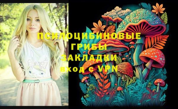 ECSTASY Рославль